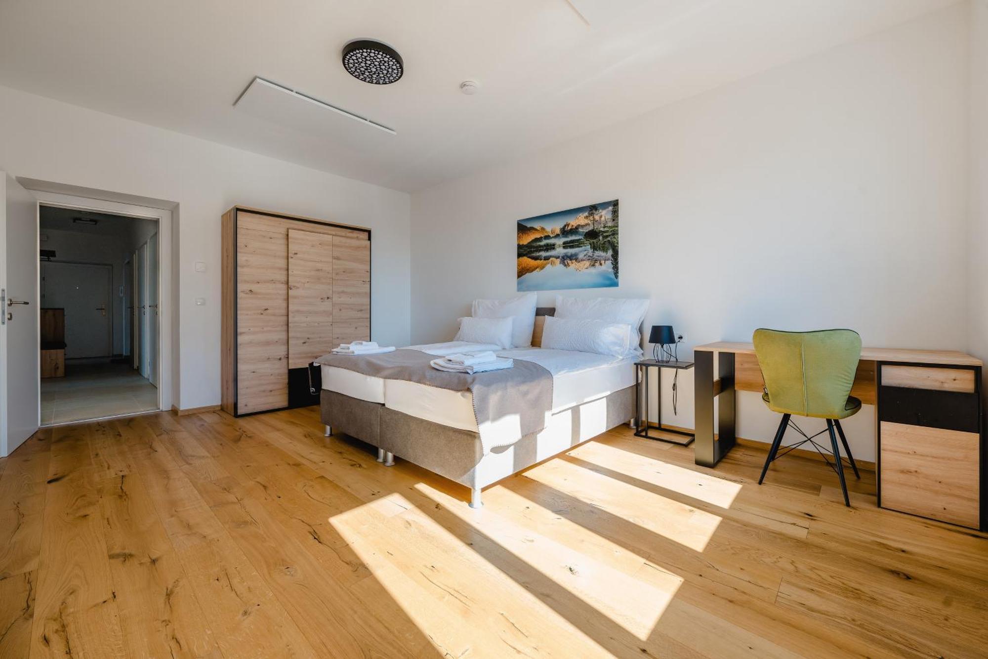 Apartment Tamliving Center Luxury 4 Smart Tv Kitchen Great View Graz